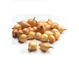 Luk arpadzik domaći 1 kg