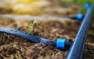 Instalacija sistema kap po kap za ukrasno bilje u bašti